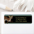 Search for kitty return address labels Meow