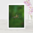 Search for photo halloween cards Spider