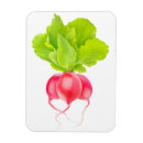 Recherche de radiateur magnets Radis