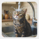 Search for cat bath stickers Kitty