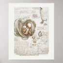 Recherche de dessins de da vinci posters Leonardo