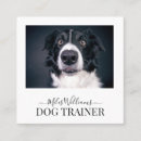 Recherche de entraîneur de chien cartes visite Chaise