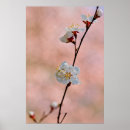 Search for fleece art Floral