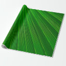 Search for palm leaf wrapping paper Green
