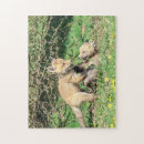 Search for red fox puzzles Animal