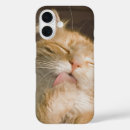 Recherche de maine coon iphone coques Pour tous