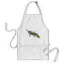 Search for grasshopper aprons Insect