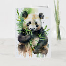 Search for black and white panda cards Eating