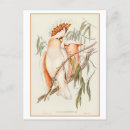 Recherche de plomb cartes postales Illustration