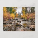 Search for streams postcards Mountain
