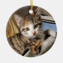 Search for calico kitten ornaments Cat