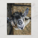 Recherche de regarder cartes postales Agriculture