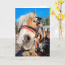 Search for friendly cards Animal