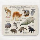Search for australia kangaroo mousepads Animal