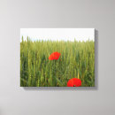 Search for poppy field canvas prints Red