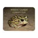 Search for toad magnets Amphibian