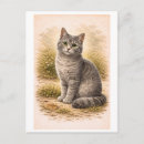 Recherche de gris cartes postales Antique