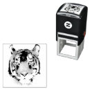 Recherche de tiger pattern Gros chat