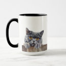 Search for british shorthair mugs Pet