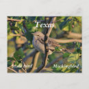 Search for mockingbird postcards State bird