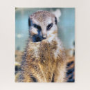 Recherche de meerkat puzzles Sauvage