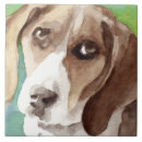 Search for beagles tiles Canine