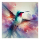 Recherche de colibri posters Faune