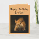 Search for funny squirrel cards Animal