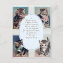 Search for kitten poem Cute