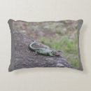 Search for lizard pillows Geckos