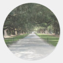 Search for sc stickers Charleston
