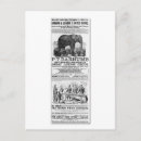 Search for barnum postcards Circus