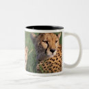 Search for reserved mugs Kenya