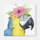 Search for parrot magnets Tropical