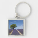 Search for provence keychains Field