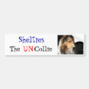 Recherche de colley voiture autocollants Chien