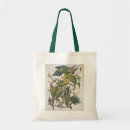 Search for parakeet bags Illustration