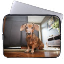 Search for cute mini laptop cases Pet
