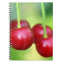 Search for vegan notebooks Food