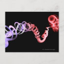 Search for fetus postcards Reproduction