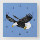 Search for eagle eyes art Wings