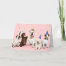 Search for jack cards Golden retriever