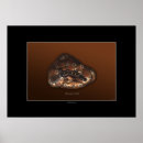 Search for platypus art Animals