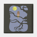 Search for owl feathers magnets Night