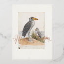 Search for funny bird christmas cards Birder