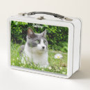 Search for photo lunch boxes Flowers