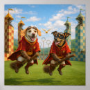 Search for snitching posters Quidditch