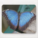 Search for morpho mousepads Insect