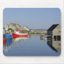 Search for trapped mousepads Fishing