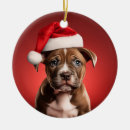 Search for staffordshire bull terrier ornaments Puppy